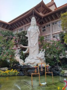 IMG_20170214_1743567-225x300 IMG_20170214_1743567