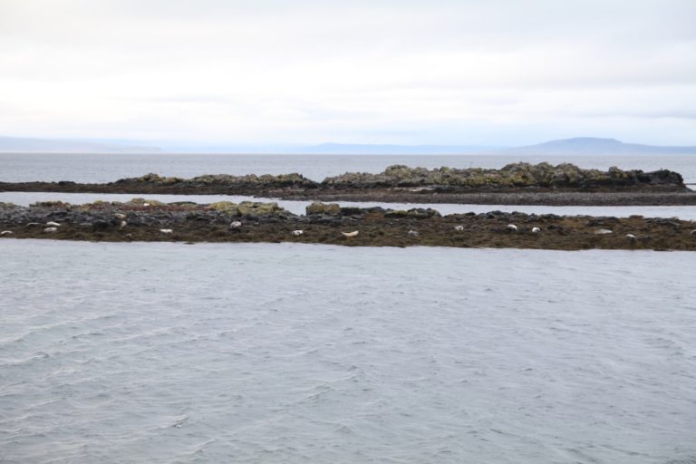 IMG_3459-768x512 Jalan-Jalan Terus: Itinerary Iceland 10 Hari 9 Malam
