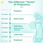 Pregnancy Journey: 09 Prenatal Visit (37 Minggu) – Not Full Term Yet